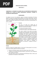 Reporte 1 Morfologia Vegetal Externa