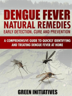 Dengue Fever Natural Remedies - Comprehensive Guide to Identifying and Treating Dengue Fever at Home