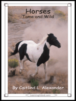 Horses: Tame and Wild