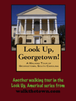 A Walking Tour of Georgetown, South Carolina