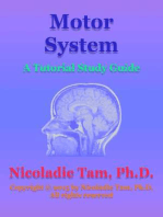 Motor System: A Tutorial Study Guide