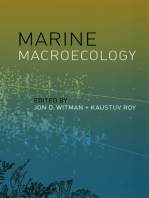 Marine Macroecology