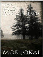 The Wild Carpathians