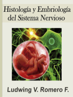 Histología y Embrología del Sitema Nervioso