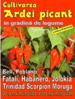 Cultivarea ardei picant in gradină de legume