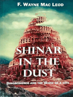 Shinar in the Dust