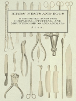 Birds' Nests and Eggs - With Directions for Preparing, Stuffing, and Mounting Birds and Animals