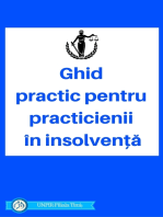 Ghid Practic pentru Practicienii în Insolvență