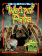 Weird Pets