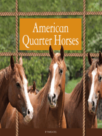 American Quarter Horses