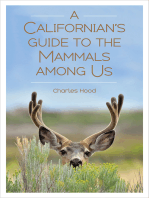 A Californian's Guide to the Mammals Among Us