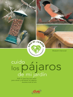 Cuido los pájaros de mi jardín