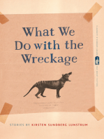 What We Do with the Wreckage: Stories