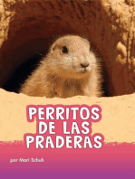 Perritos de las praderas