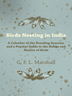 Birds Nesting in India - A Calendar of the Breeding Seasons, and a Popular Guide to the Habits and Haunts of Birds