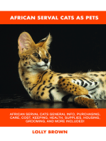 African Serval Cats as Pets