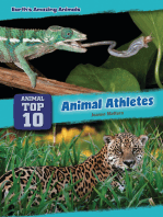 Animal Athletes