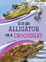 Is It an Alligator or a Crocodile?