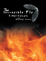 The Incredible Fly: A Collection of Short Stories