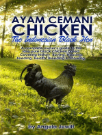 Ayam Cemani Chicken - The Indonesian Black Hen. A complete owner's guide to this rare pure black chicken breed. Covering History, Buying, Housing, Feeding, Health, Breeding & Showing.