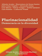 Plurinacionalidad: Democracia en la diversidad