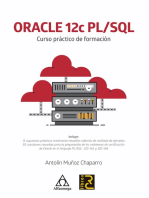 Oracle 12c PL/SQL: Curso práctico de formación