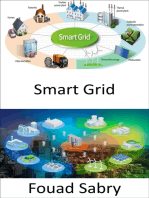 Smart Grid: Exchanging electricity and information between homes and power plants