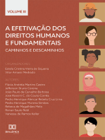 A efetivação dos Direitos Humanos e Fundamentais: caminhos e descaminhos: - Volume 3