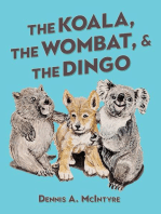 The Koala, the Wombat and the Dingo