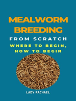 Mealworm Breeding From Scratch: Where To Begin, How To Begin