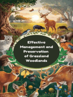 Effective Management and Preservation of Grassland Woodlands