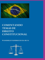 Comentando Temas De Direito Constitucional