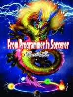 From Programmer to Sorcerer