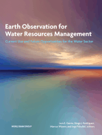 Earth Observation for Water Resources Management: Current Use and Future Opportunities for the Water Sector