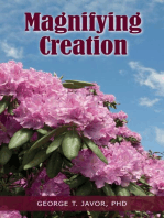 Magnifying Creation