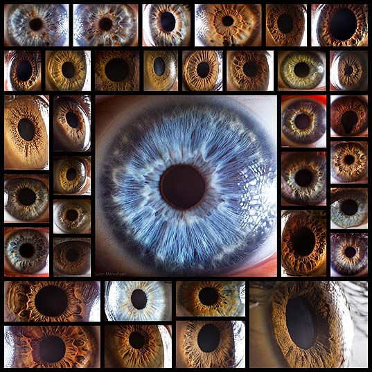 macro-photography-of-human-eyes36