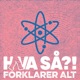 Hva s&aring;?! forklarer alt