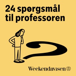 24 sp&oslash;rgsm&aring;l til professoren