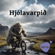 Hj&oacute;lavarpi&eth;