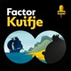 Factor Kuifje | BNR