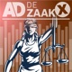 De Zaak X