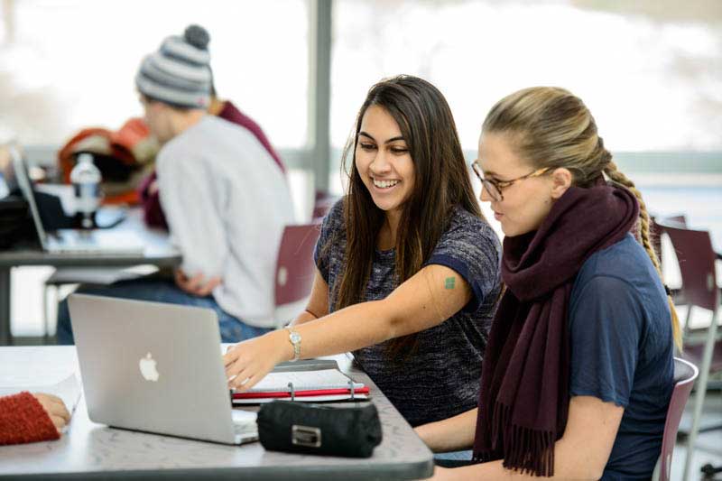 Decorative image of Current Undergraduate Students