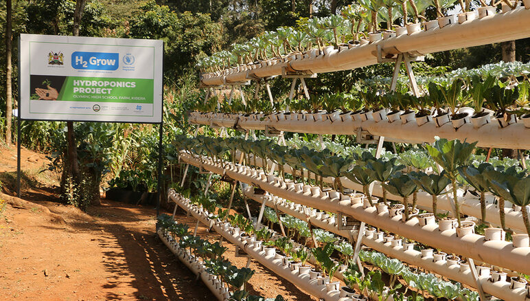 A Kibera, in Kenia, il WFP ha implementato l’agricoltura idroponica alla scuola elementare Olympic, con grande partecipazione degli studenti e della comunità locale.  WFP/Martin Karimi