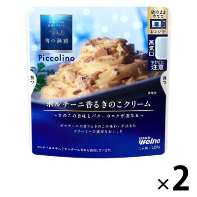 青の洞窟 ピッコリーノ ポルチーニ香るきのこクリーム 110g・1人前 1セット（2個） 日清製粉ウェルナ パスタソース