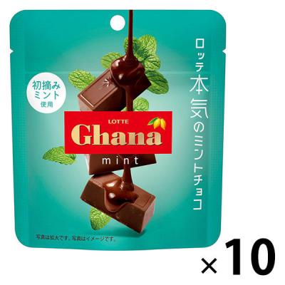 【アウトレット】ガーナミントチョコレート 1セット（1個×10） ロッテ チョコレート