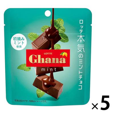 【アウトレット】ガーナミントチョコレート 1セット（1個×5） ロッテ チョコレート