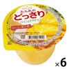 「【アウトレット】たらみのどっさり パイン＆ナタデココ 1セット（1個×6） たらみ ゼリー」の商品サムネイル画像1枚目