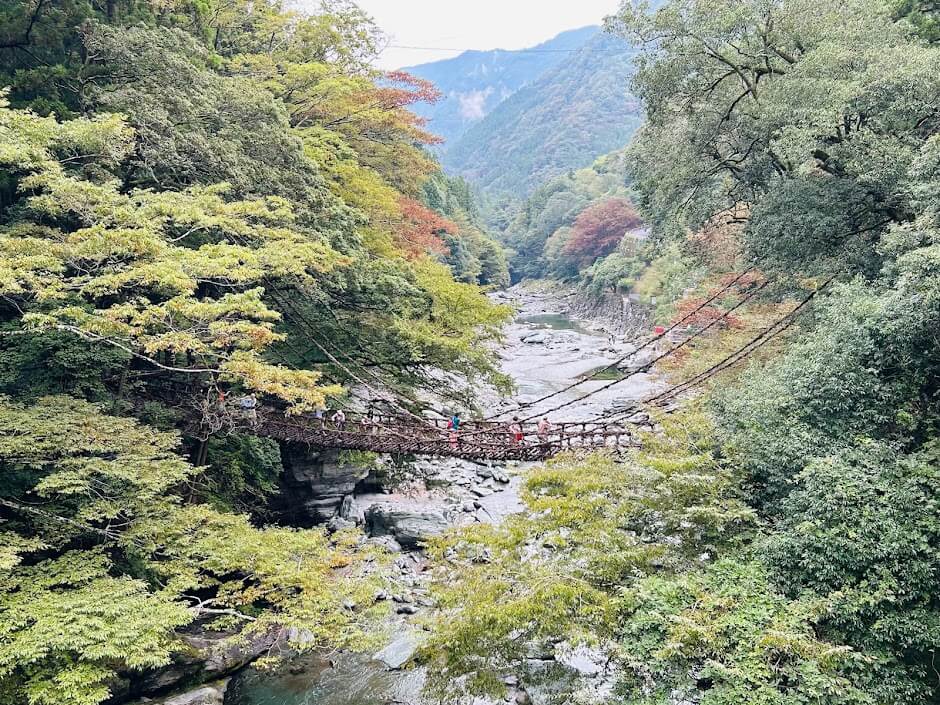 祖谷のかずら橋