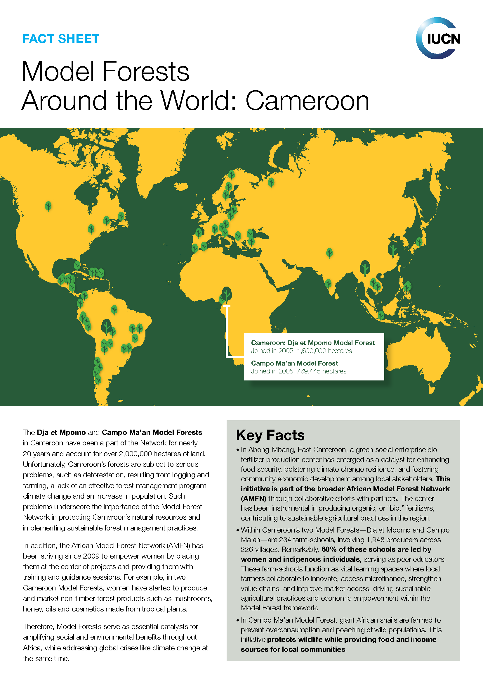 Model Forests Around the World: Cameroon