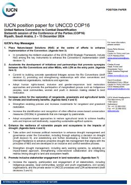 UNCCD-COP16-position-paper-thumb